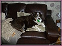 25-12-11 P1010720
